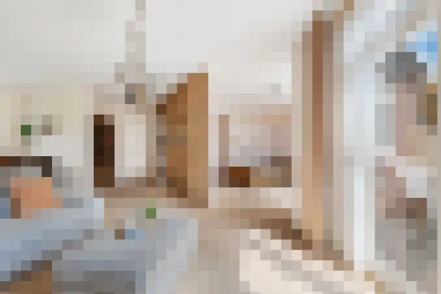 Valkendaal 4 Nieuwerkerk aan den IJssel thumbnail 7