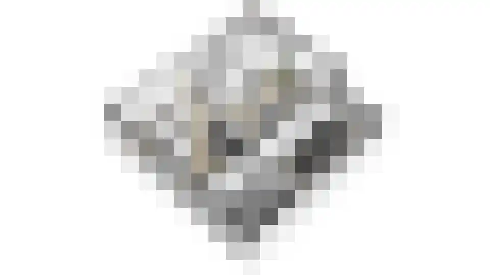 Valkendonk 17 St. Willebrord thumbnail 33