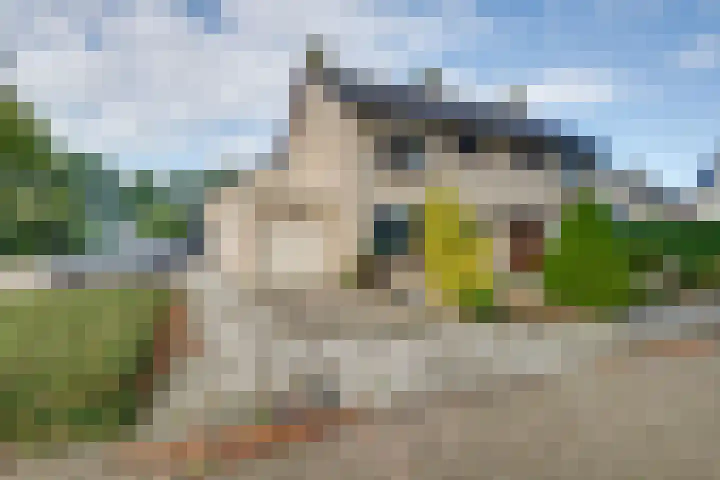 Valkendonk 17 St. Willebrord thumbnail 4