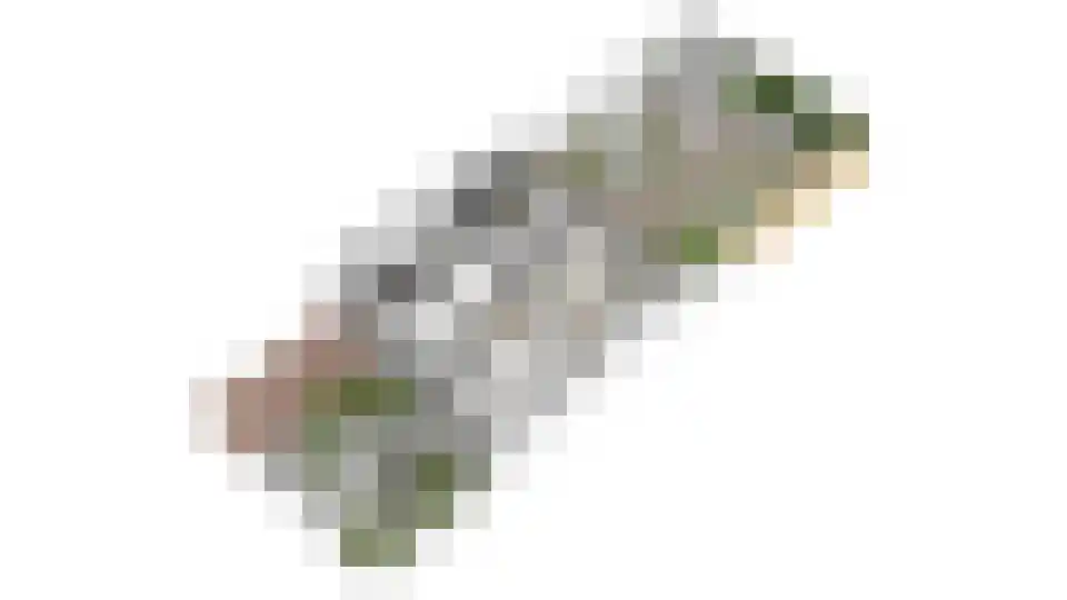 Valkendonk 17 St. Willebrord thumbnail 43