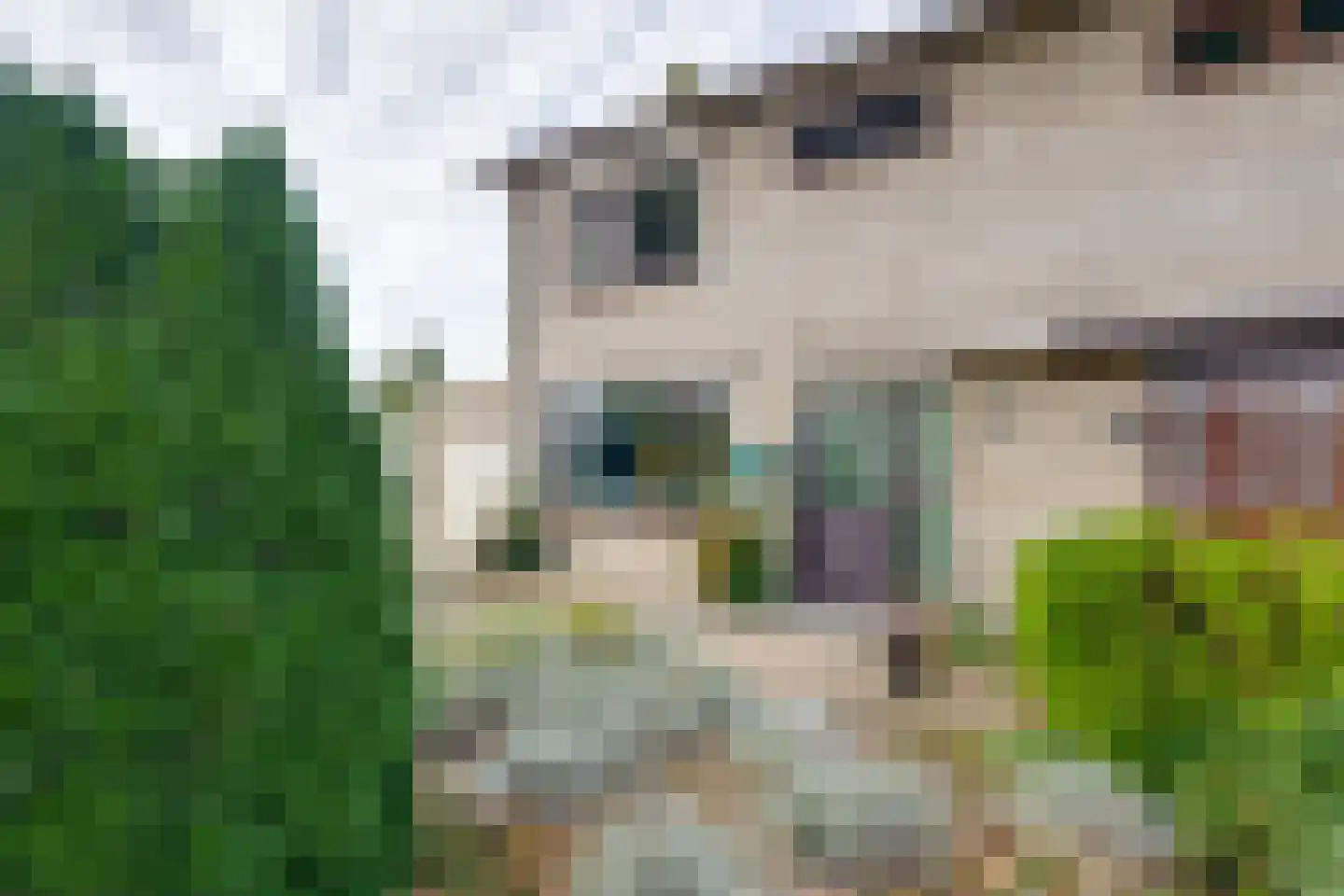 Valkendonk 17 St. Willebrord thumbnail 6