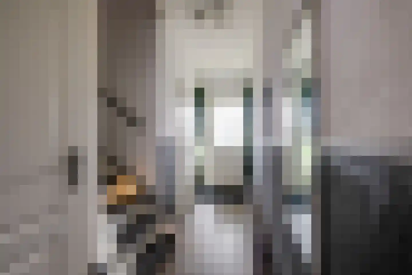 Valkendonk 17 St. Willebrord thumbnail 7