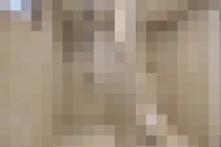Valkendonk 27 St. Willebrord thumbnail 32