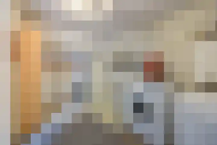 Valkendonk 27 St. Willebrord thumbnail 34