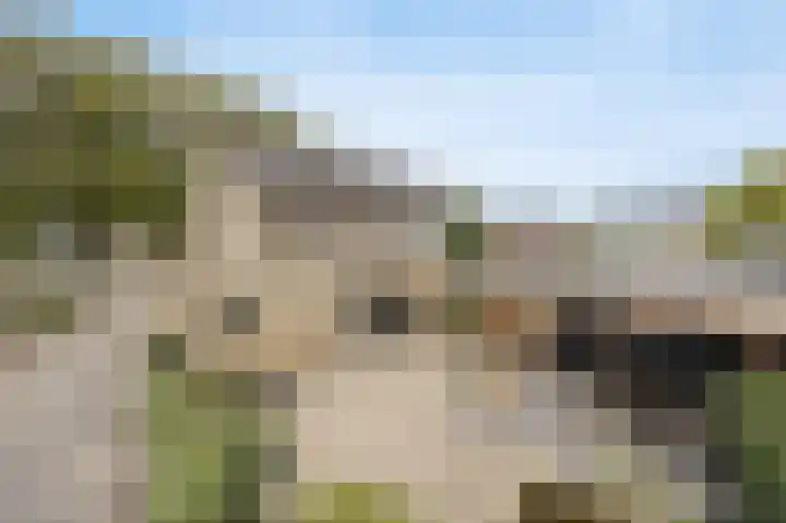 Valkendonk 27 St. Willebrord thumbnail 41