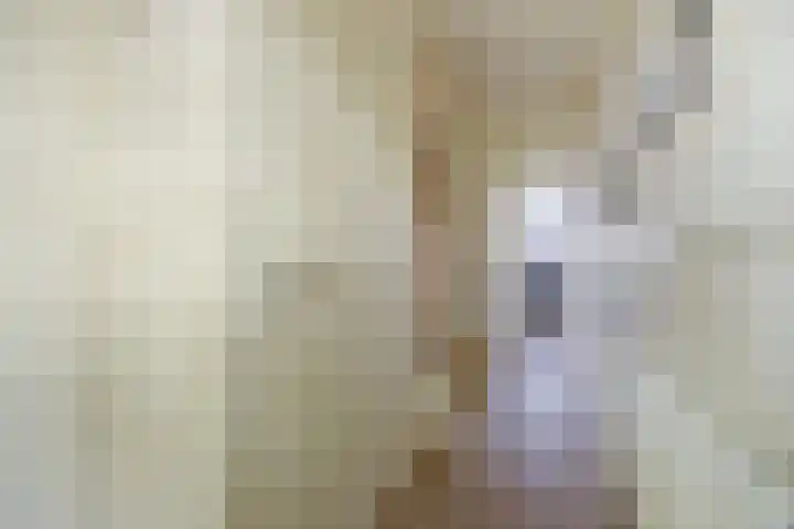 Valkendonk 27 St. Willebrord thumbnail 6
