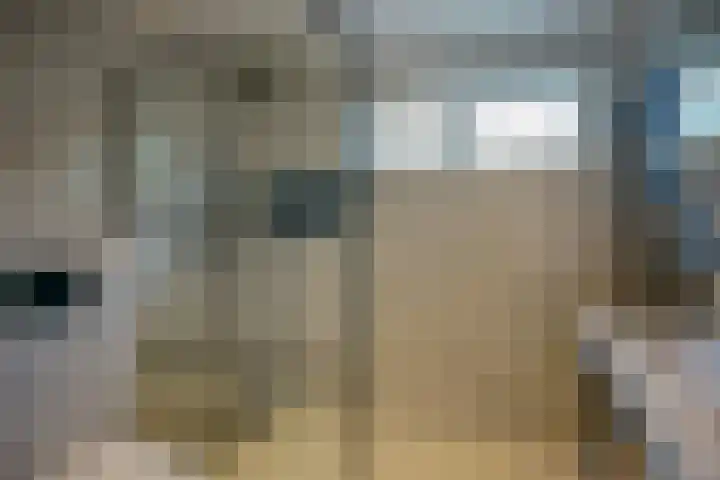 Valkendonk 29 St. Willebrord thumbnail 12