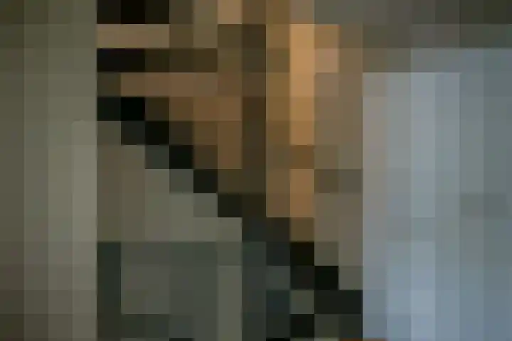 Valkendonk 29 St. Willebrord thumbnail 8