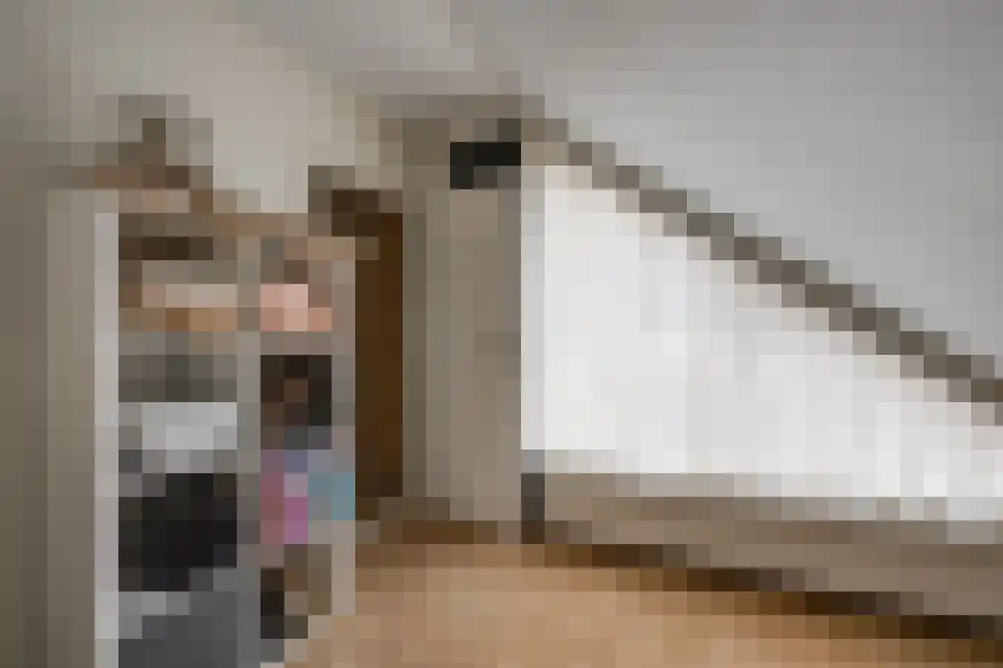 Valkendonk 33 St. Willebrord thumbnail 24
