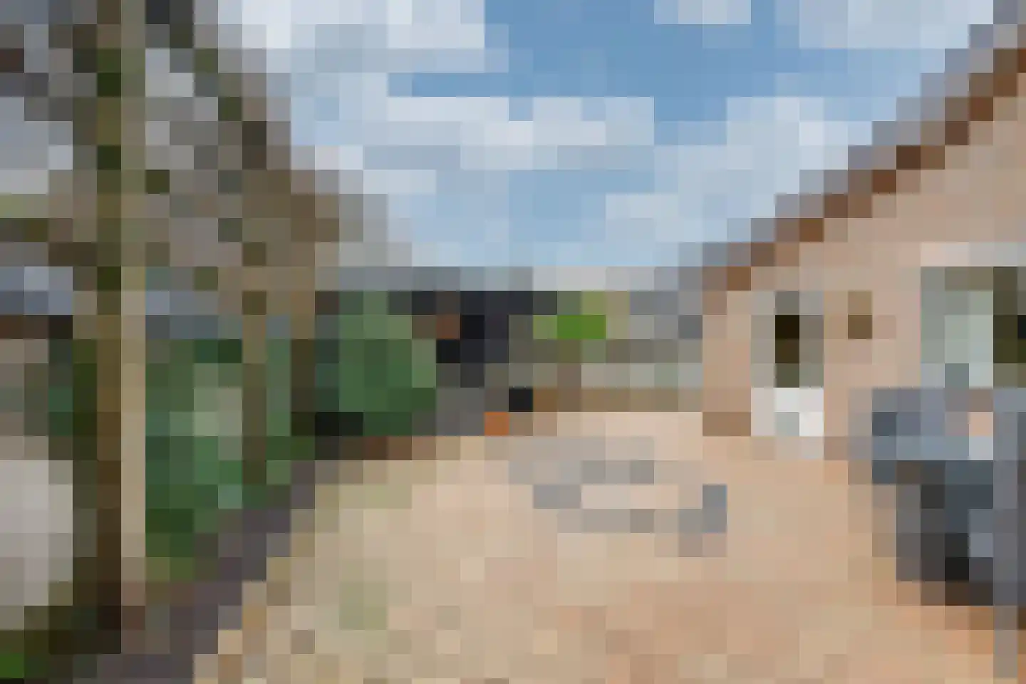 Valkendonk 33 St. Willebrord thumbnail 34
