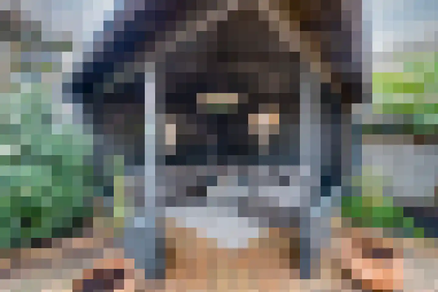 Valkendonk 33 St. Willebrord thumbnail 36