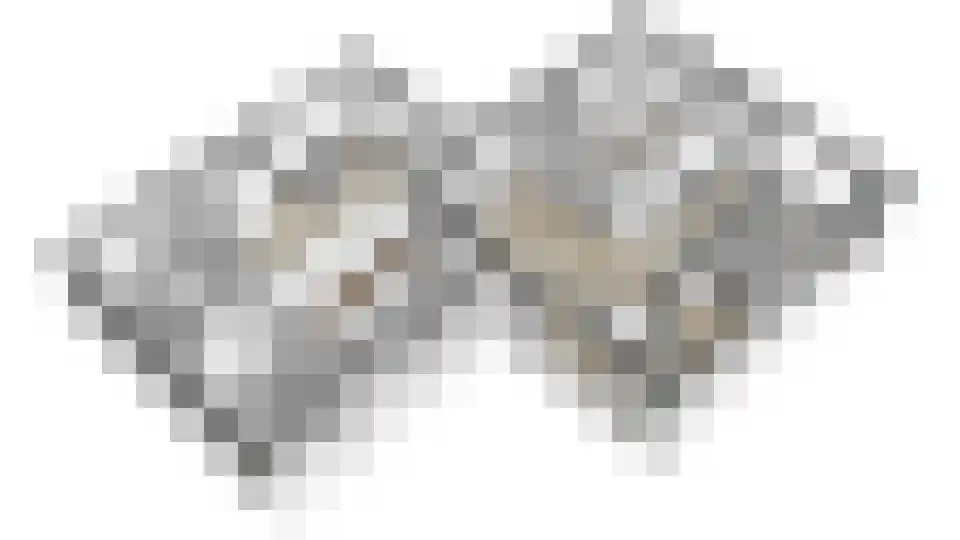 Valkendonk 33 St. Willebrord thumbnail 43
