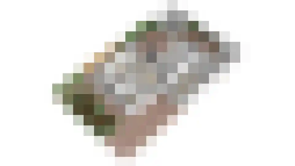 Valkendonk 33 St. Willebrord thumbnail 53