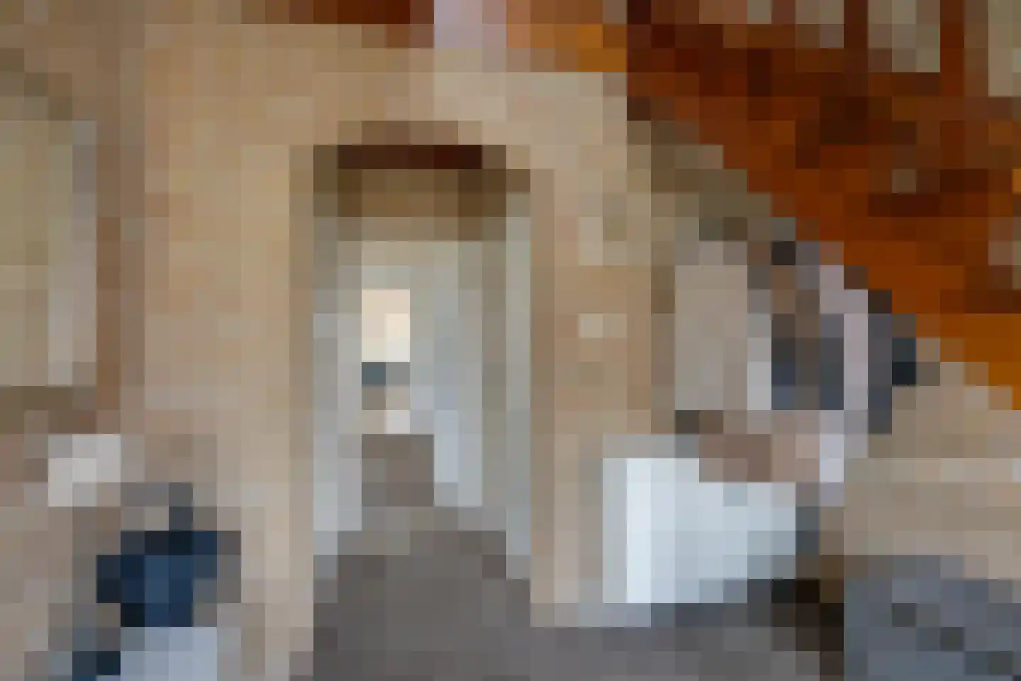 Valkendonk 33 St. Willebrord thumbnail 6