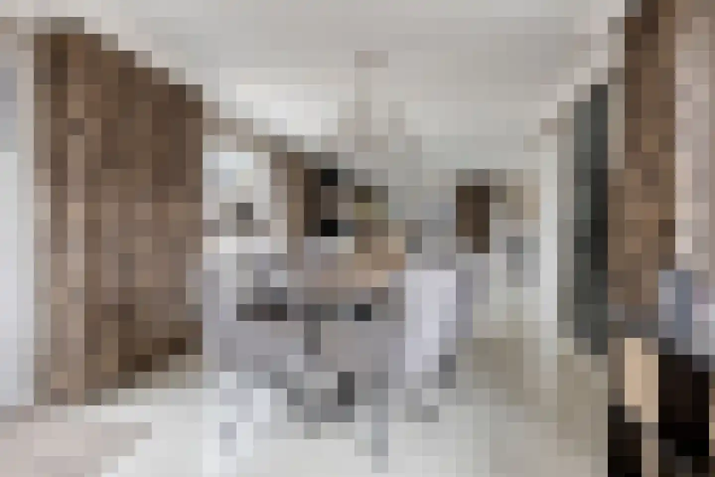 Valkendonk 9 St. Willebrord thumbnail 10
