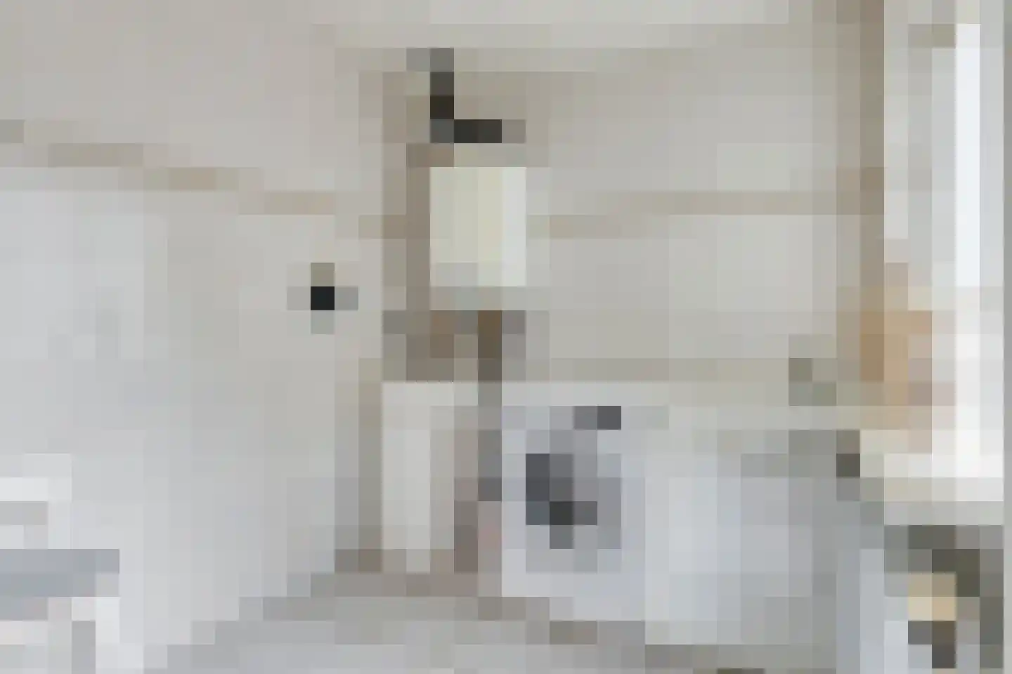 Valkendonk 9 St. Willebrord thumbnail 28