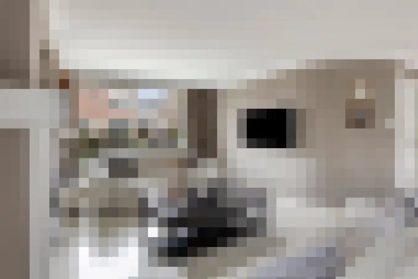Valkendonk 9 St. Willebrord thumbnail 7