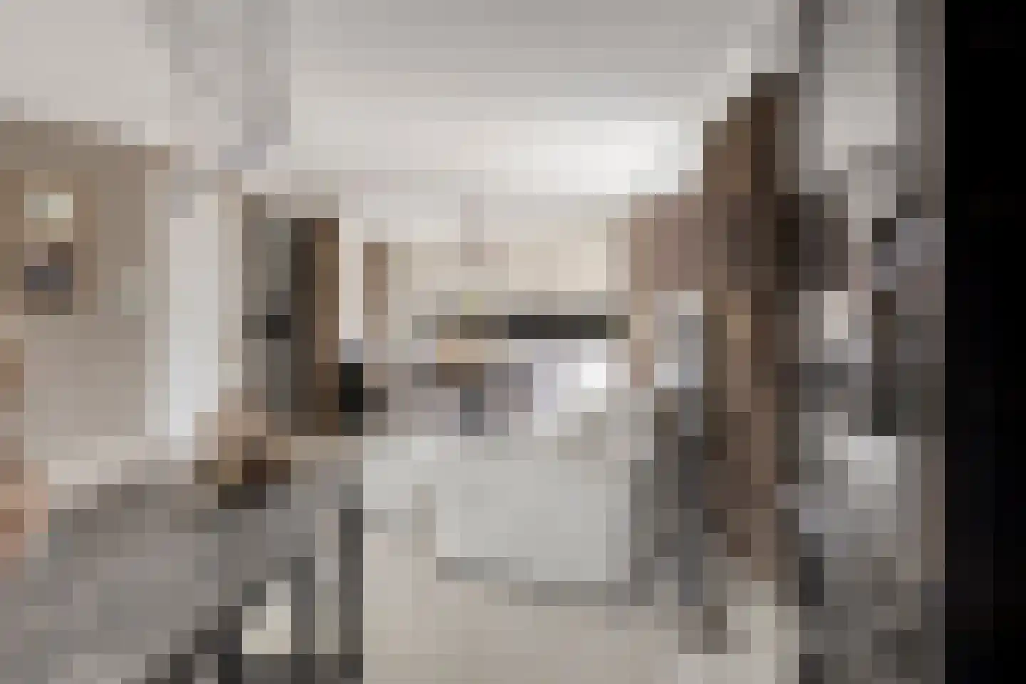 Valkendonk 9 St. Willebrord thumbnail 8