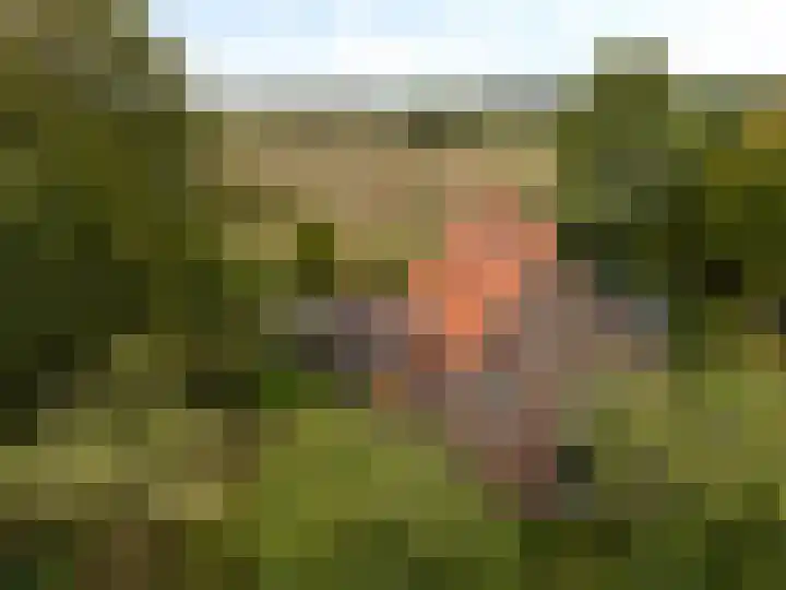 Valkenheide 39 Maarsbergen thumbnail 10