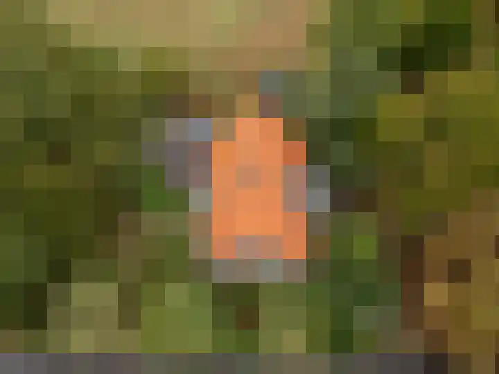 Valkenheide 39 Maarsbergen thumbnail 11