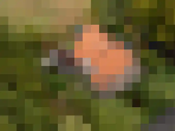Valkenheide 39 Maarsbergen thumbnail 12