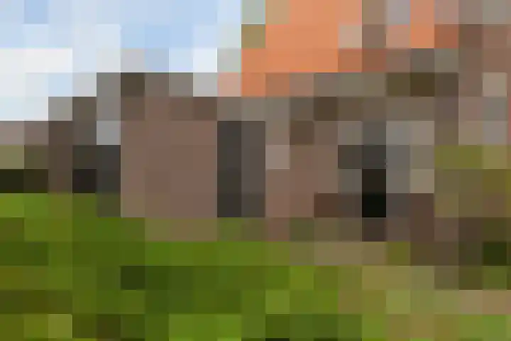 Valkenheide 39 Maarsbergen thumbnail 35