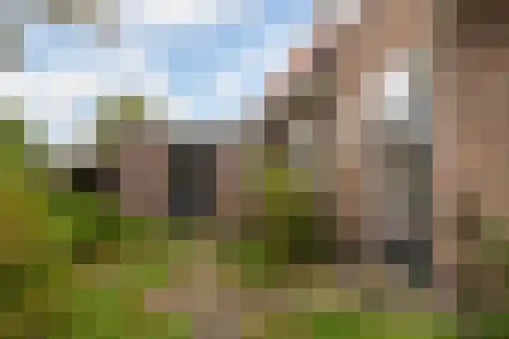 Valkenheide 39 Maarsbergen thumbnail 38