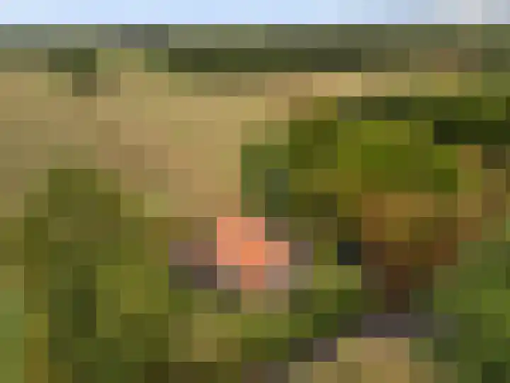 Valkenheide 39 Maarsbergen thumbnail 4