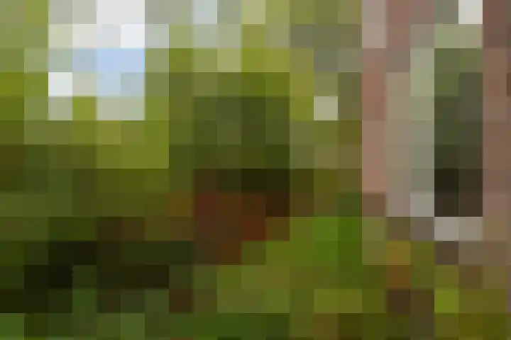 Valkenheide 39 Maarsbergen thumbnail 40