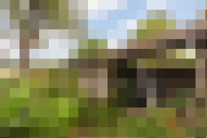 Valkenheide 39 Maarsbergen thumbnail 43
