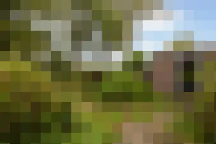 Valkenheide 39 Maarsbergen thumbnail 44