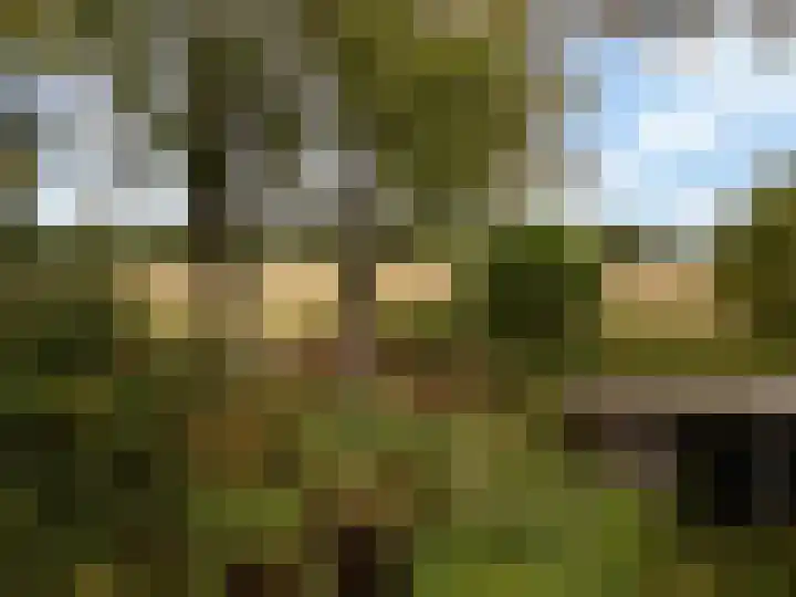 Valkenheide 39 Maarsbergen thumbnail 46