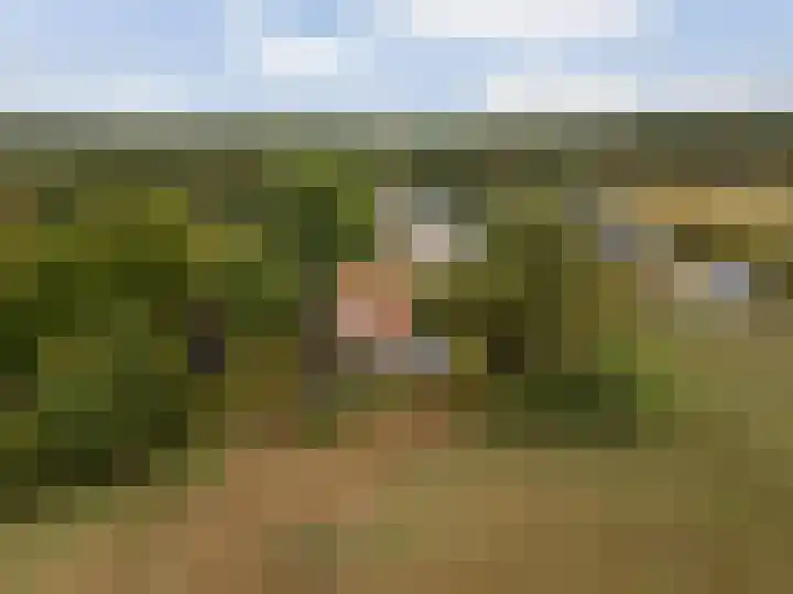 Valkenheide 39 Maarsbergen thumbnail 5