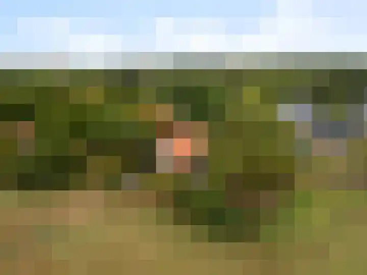 Valkenheide 39 Maarsbergen thumbnail 6