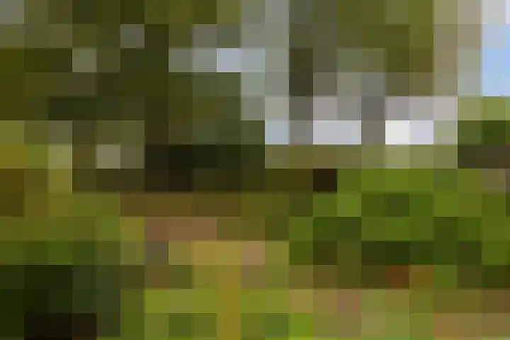 Valkenheide 39 Maarsbergen thumbnail 63