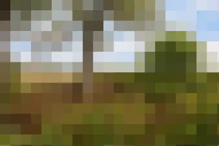 Valkenheide 39 Maarsbergen thumbnail 64