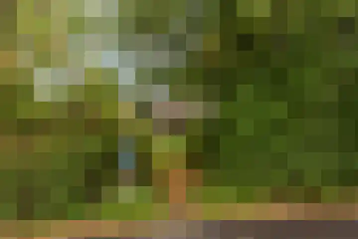 Valkenheide 39 Maarsbergen thumbnail 65