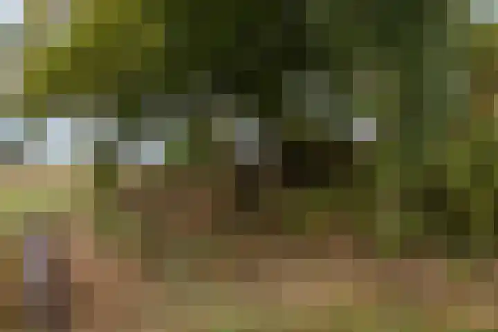 Valkenheide 39 Maarsbergen thumbnail 66