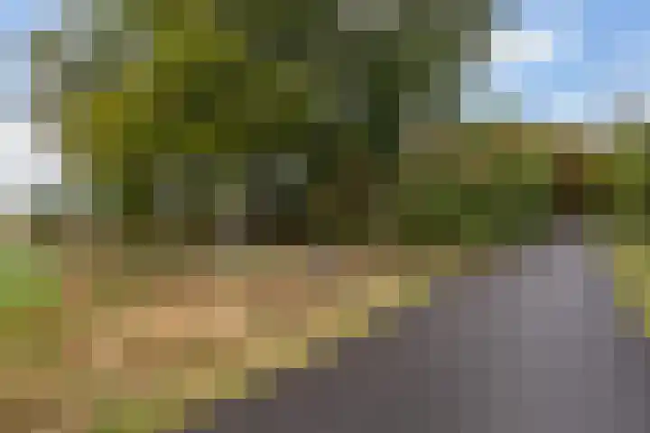 Valkenheide 39 Maarsbergen thumbnail 67