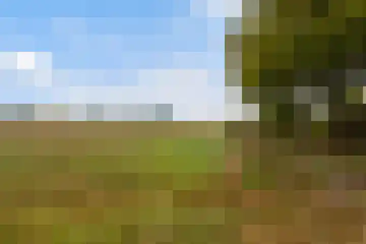 Valkenheide 39 Maarsbergen thumbnail 68