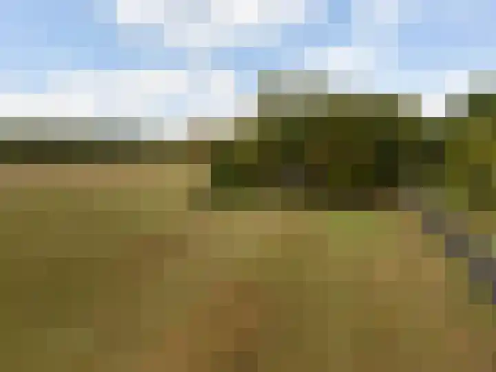 Valkenheide 39 Maarsbergen thumbnail 69