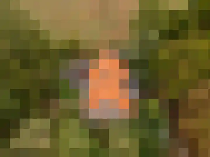Valkenheide 39 Maarsbergen thumbnail 7