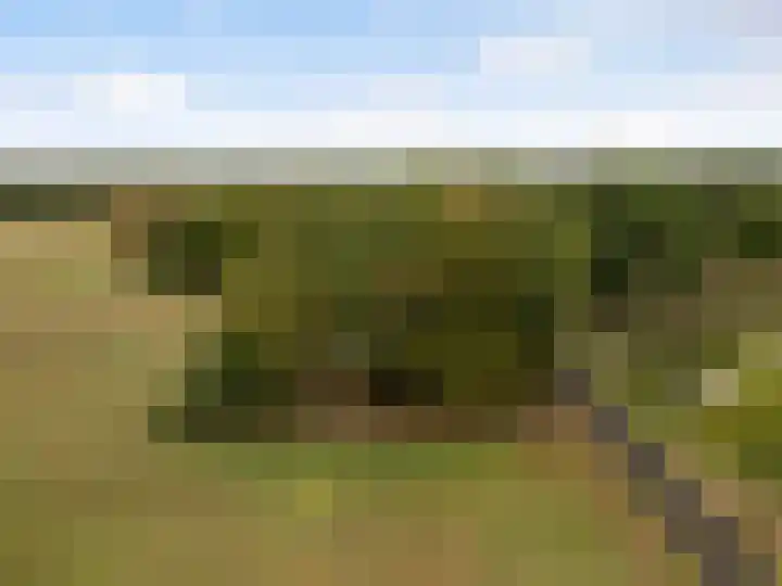 Valkenheide 39 Maarsbergen thumbnail 70