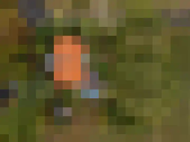 Valkenheide 39 Maarsbergen thumbnail 8