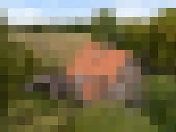 Valkenheide 39 Maarsbergen thumbnail 9