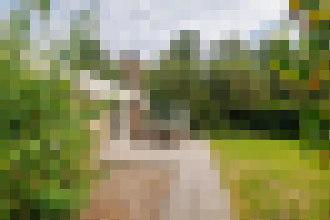 Valkenhoek 146 a Ballum thumbnail 31