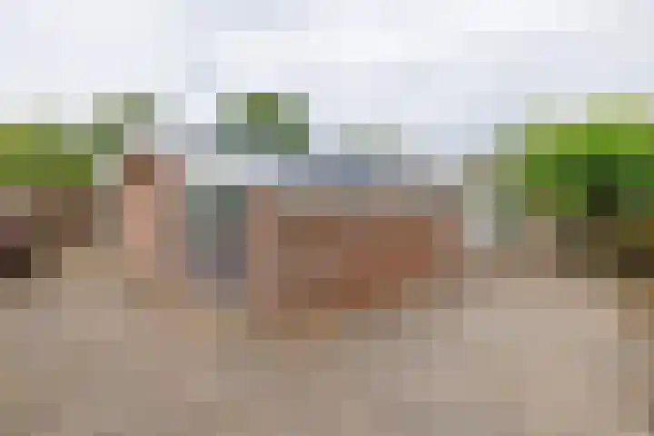 Valkenhoek 149 Ballum thumbnail 33