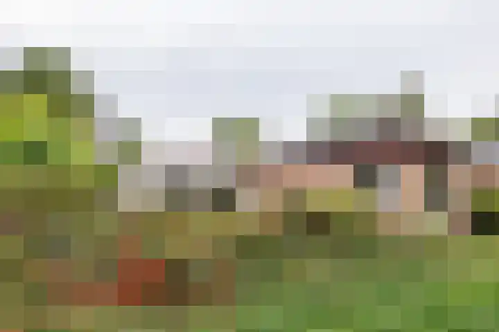 Valkenhoek 149 Ballum thumbnail 4