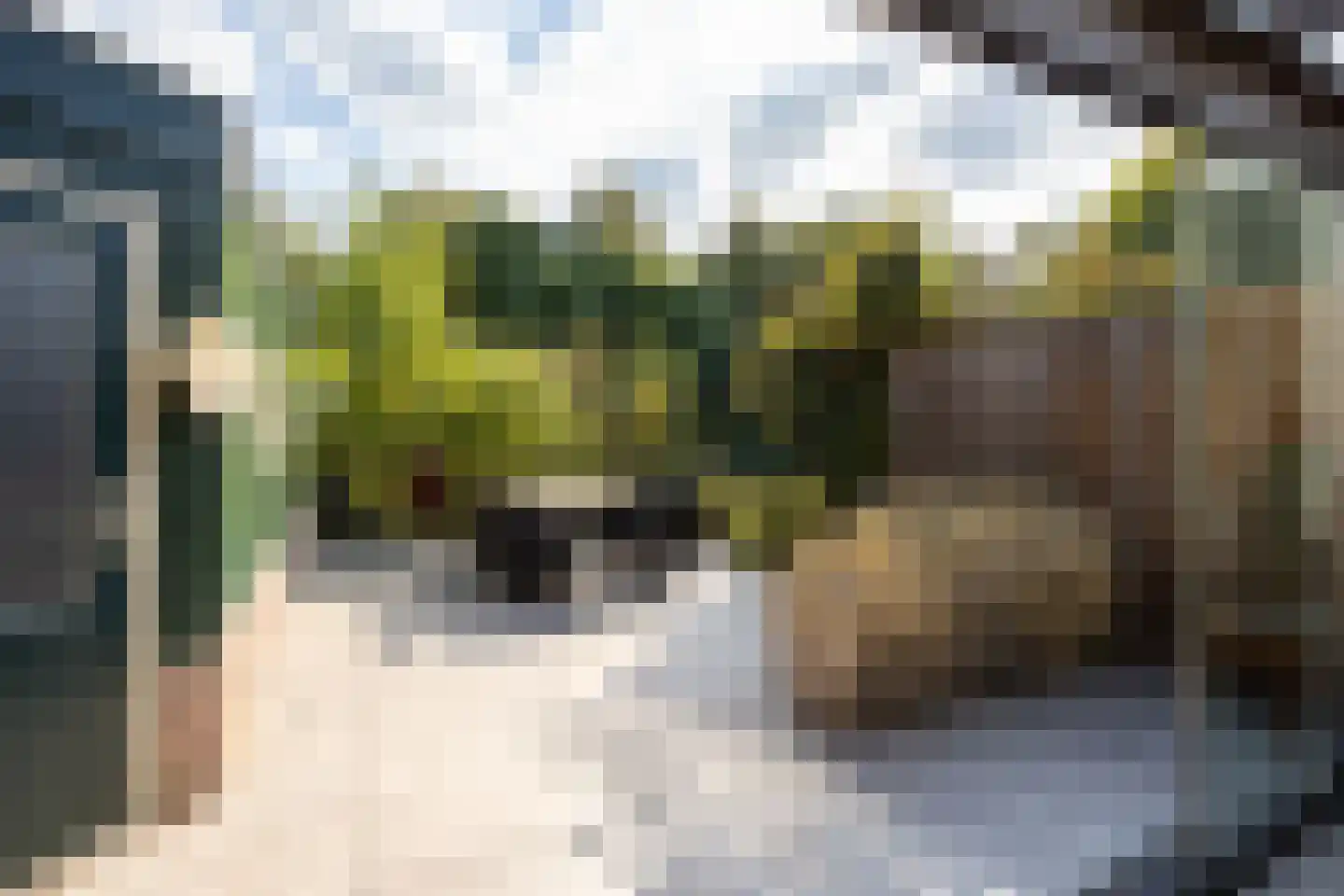 Valkenhoeve 20 Leusden thumbnail 27