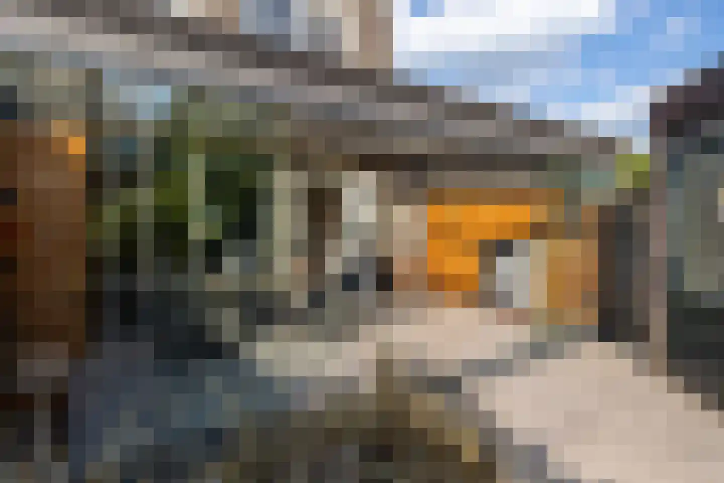 Valkenhoeve 20 Leusden thumbnail 33